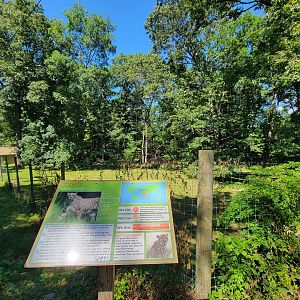 Southwick 7/22 - Cheetah yard #1