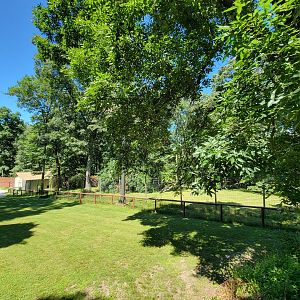 Southwick 7/22 - Cheetah yard #1