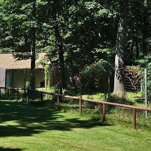 Southwick 7/22 - Cheetah yard #1