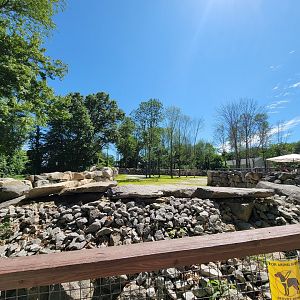 Southwick 7/22 - Giraffes