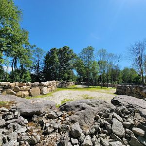 Southwick 7/22 - Giraffes