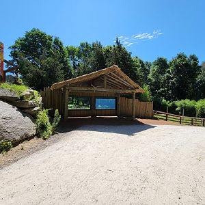 Southwick 7/22 - Spotted hyena