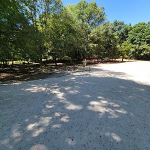 Southwick 7/22 - Fallow deer forest, where you can feed the deer