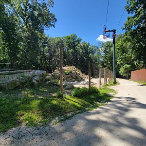 Southwick 7/22 - Aoudad