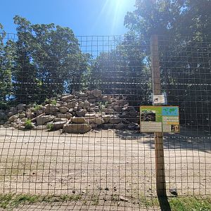 Southwick 7/22 - Aoudad