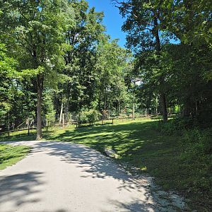 Southwick 7/22 - Path, cheetah yard #1