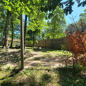 Southwick 7/22 - Cheetah yard #2