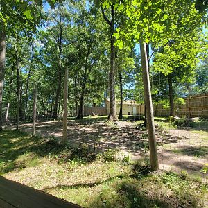 Southwick 7/22 - Cheetah yard #2