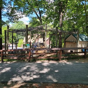 Southwick 7/22 - Serval