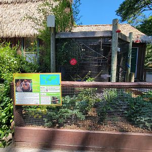 Southwick 7/22 - Hoffman's sloth