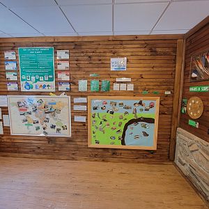 Southwick 7/22 - Wild Wetlands