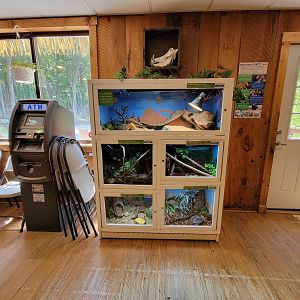 Southwick 7/22 - Herps