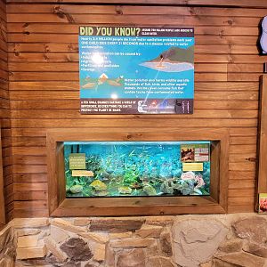 Southwick 7/22 - Axolotl