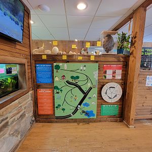 Southwick 7/22 - Information about salamander migration!