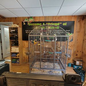 Southwick 7/22 - Blue and gold macaw