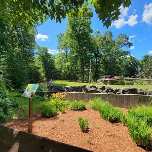 Southwick 7/22 - Chimpanzees