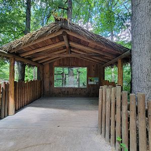 Southwick 7/22 - Wolf's guenon upper window