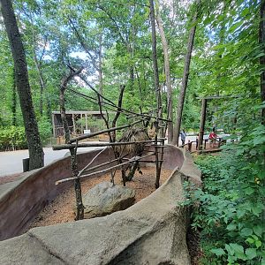 Southwick 7/22 - Another sloth