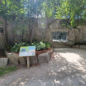 Southwick 7/22 - Mandrill