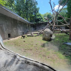 Southwick 7/22 - Mandrill