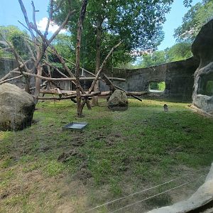 Southwick 7/22 - Mandrill