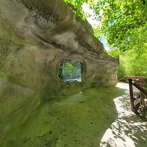 Southwick 7/22 - Mandrill