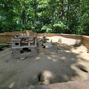 Southwick 7/22 - Black-tailed prairie dogs