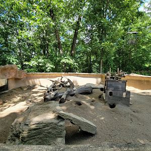 Southwick 7/22 - Black-tailed prairie dogs, skyfari above