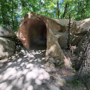Southwick 7/22 - Black-tailed prairie dogs, to viewing window
