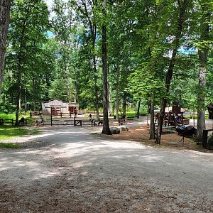 Southwick 7/22 - Horses at train station