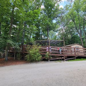Southwick 7/22 - Boardwalk back up to cotton-top tamarins, etc