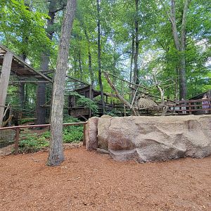 Southwick 7/22 - Sloth, wolf's guenon on left