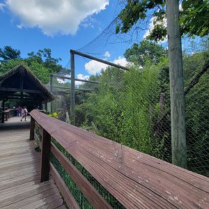 Southwick 7/22 - Boardwalk, leopard exhibit on right