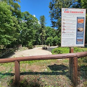 Southwick 7/22 - Rhinos