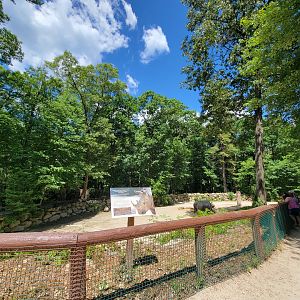 Southwick 7/22 - Rhinos