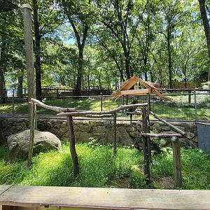 Southwick 7/22 - Great green macaw