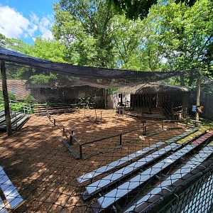 Southwick 7/22 - Bird show area