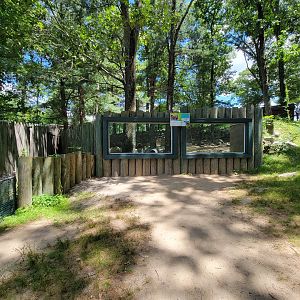 Southwick 7/22 - Red river hogs