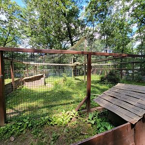 Southwick 7/22 - Red-legged seriema