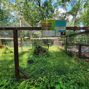 Southwick 7/22 - Red-legged seriema