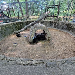 Southwick 7/22 - Domestic rabbits