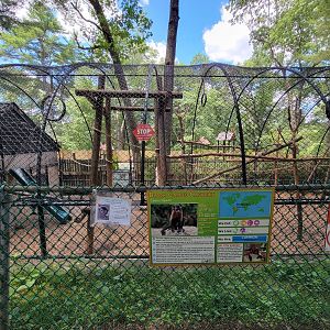 Southwick 7/22 - Tufted capuchin