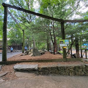 Southwick 7/22 - Aviary