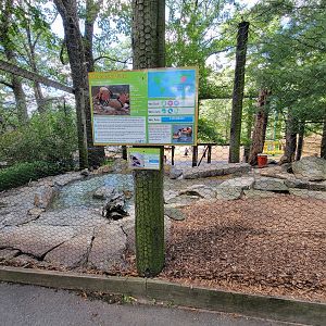 Southwick 7/22 - Aviary