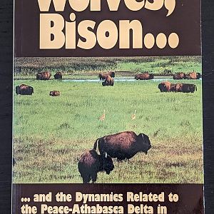 Wolves, Bison... and the Dynamics Related to the Peace-Athabasca Delta in Canada's Wood Buffalo National Park