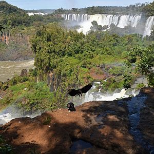 Iguaçu Falls