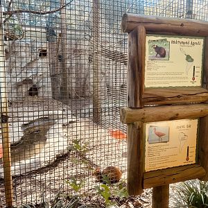 Scarlet Ibis and Red-rumped Agouti Exhibit