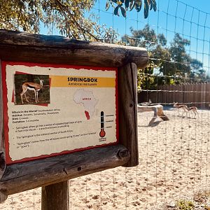 Springbok Exhibit