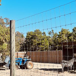 Enclosure Maintenance