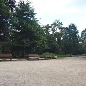 Park view near Indian rhinoceros bull paddock, 2022-05-28